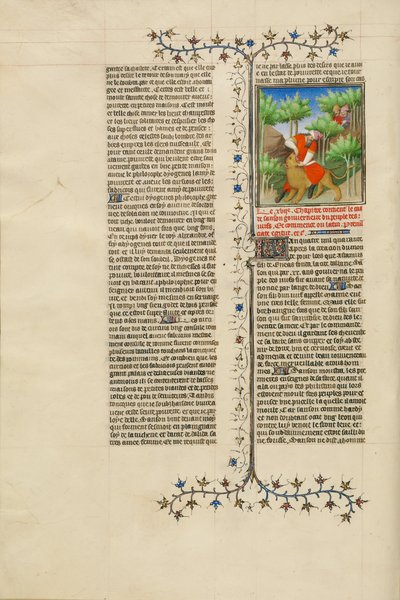 Sansón y el león de Unbekannt Unbekannt